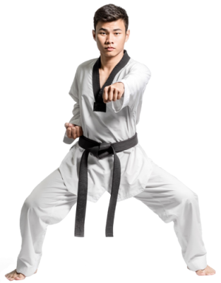 Taekwondoheader2